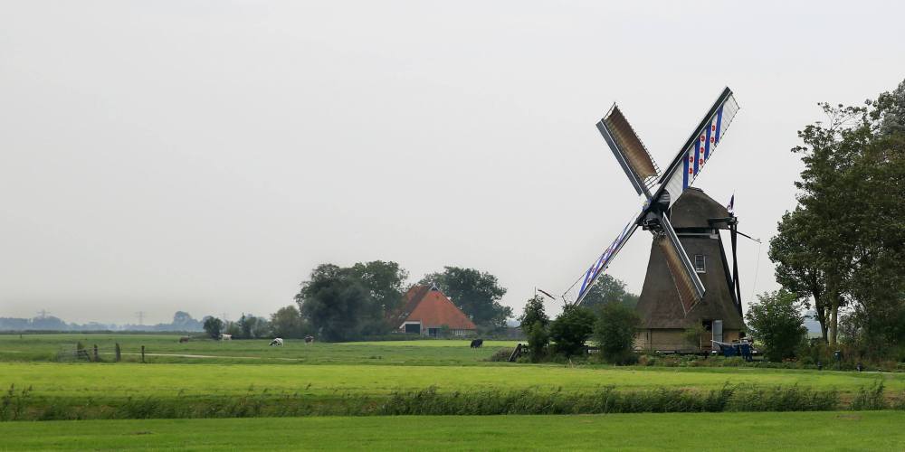 11703445_1719696184916347_5470783001262183354_o