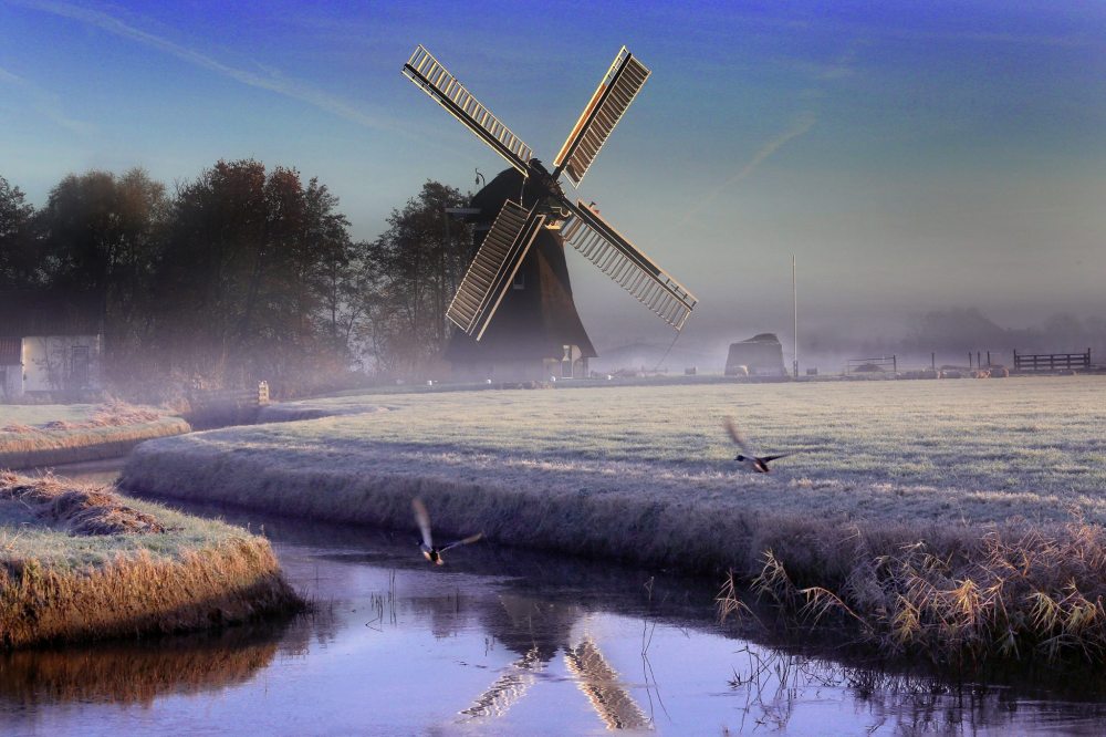 15259677_1898524487033515_789533924007434047_o