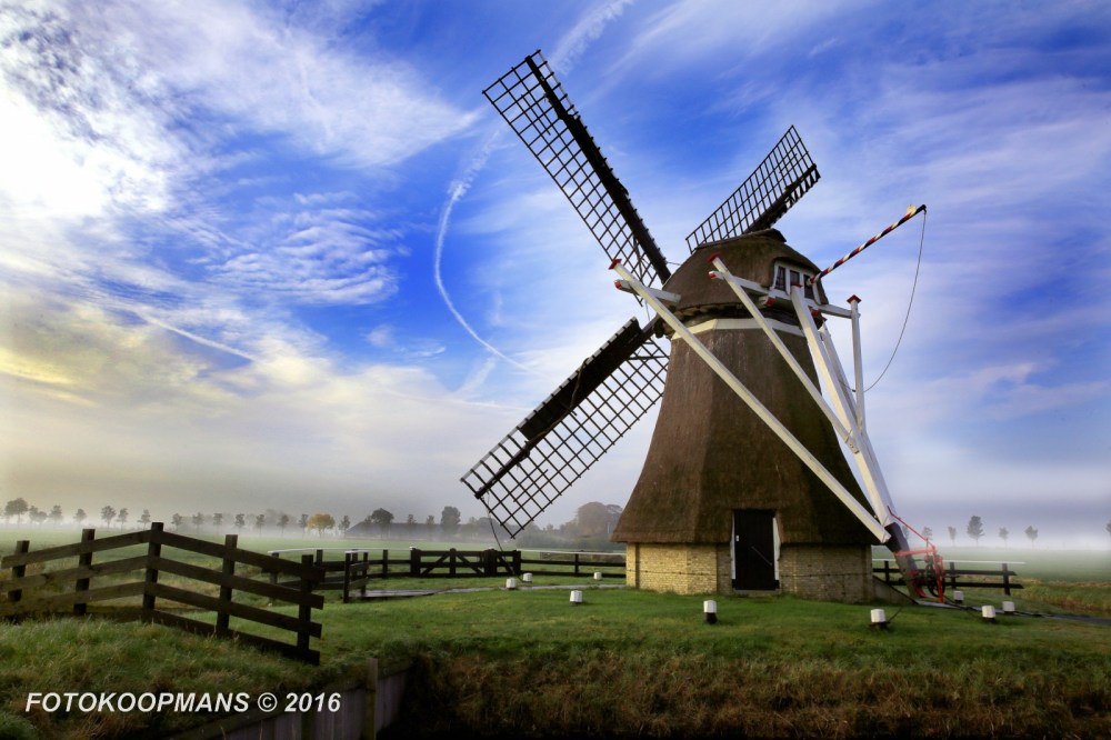 img_6732rentmeester-2016