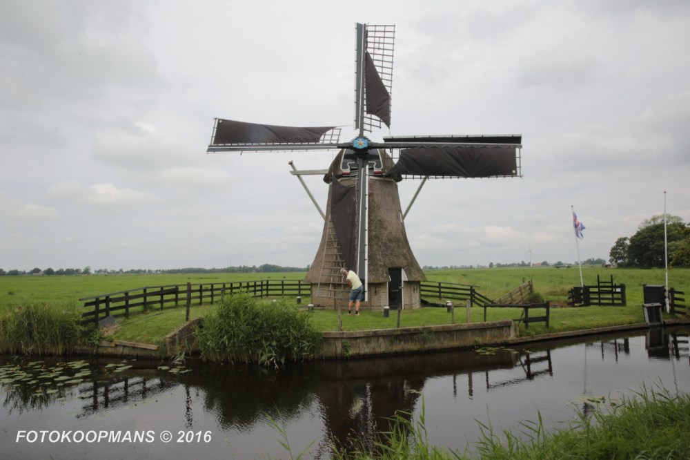 molens-mdeel-1368-25062016-fotokoopmans-2016